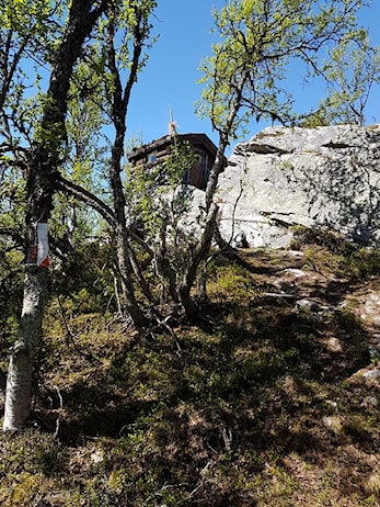UKENS POST -- Fellestur